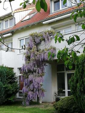 Foto - Wohnung zum Kaufen in Zittau OT Wittgendorf 90.000,00 € 130 m²