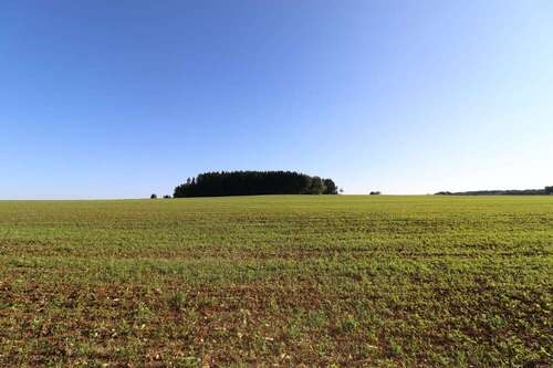 Foto - Grundstück zu verkaufen in Münsingen Bremelau 159.000,00 € 3620 m²
