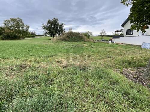 Foto - Grundstück zu verkaufen in Wimsheim 320.000,00 € 450 m²