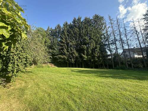 Foto - Grundstück zu verkaufen in Bebra 125.000,00 € 1000 m²