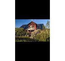 Haus zum Kaufen in Deutsch Evern 680.000,00 € 173 m²