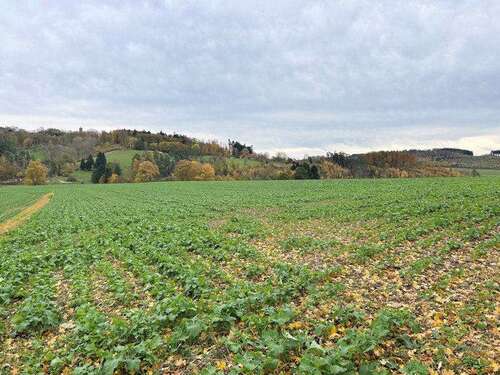 Foto - Grundstück in Rüthen 250.000,00 € 24889 m²