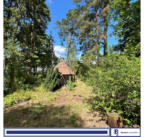 Grundstück zu verkaufen in Hoppegarten 319.000,00 € 775 m²