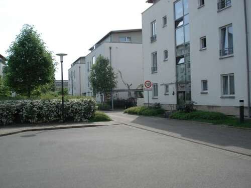 Foto - Wohnung zum Mieten in Dresden 627,00 € 66 m²