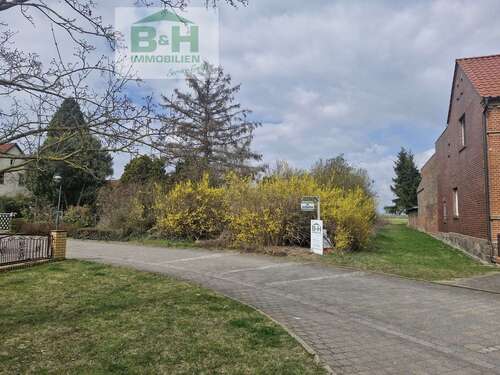 Foto - Grundstück zu verkaufen in Sandersdorf Heideloh 25.000,00 € 3174 m²