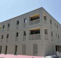 Wohnung zum Mieten in Wangen 695,00 € 48 m²