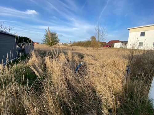 Foto - Grundstück in Roggentin 100.000,00 € 660 m²