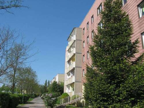 Foto - Wohnung zum Mieten in Schkeuditz 531,00 € 59 m²