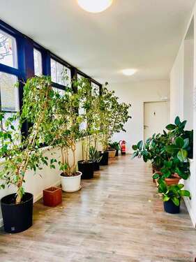 Foto - Büro in Groß-Gerau 1.100.000,00 € 338 m²