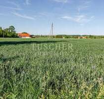 Grundstück in Hohenlinden 300.000,00 € 15000 m²