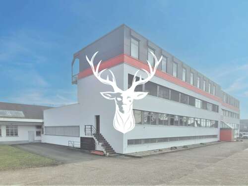 Foto - Büro in Waldshut-Tiengen 2.400,00 € 286 m²