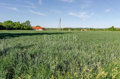 Foto - Grundstück zu verkaufen in Hohenlinden 300.000,00 € 15000 m²