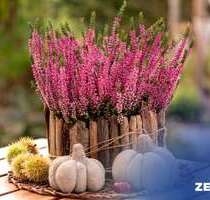 Haus zum Kaufen in Bad Schandau Ostrau 536.282,00 € 160 m² - Bad Schandau / Ostrau