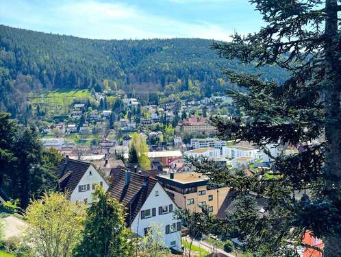 Foto - Haus zum Kaufen in Bad Wildbad im Schwarzwald 590.000,00 € 318 m²