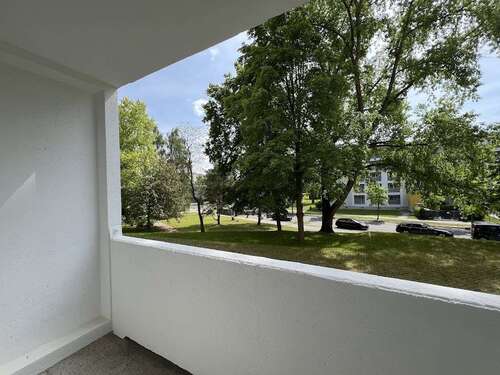 Foto - Wohnung zum Mieten in Chemnitz 275,00 € 49.18 m²