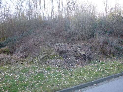 Foto - Grundstück zu verkaufen in Reichshof Brüchermühle 54.000,00 € 2407 m²