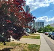 Wohnung zum Mieten in Halle 318,00 € 50 m²