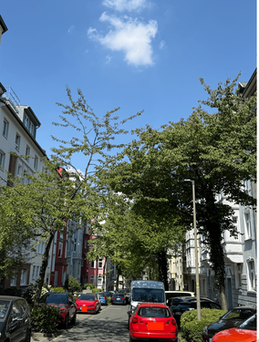Foto - Wohnung zum Kaufen in Dortmund 649.000,00 € 160 m²