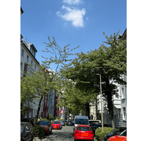 Wohnung zum Kaufen in Dortmund 649.000,00 € 160 m²