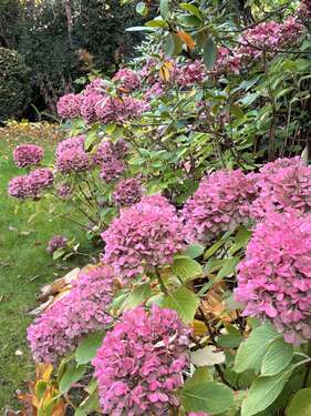 Foto - Grundstück zu verkaufen in Berlin 2.889.000,00 € 1038 m²