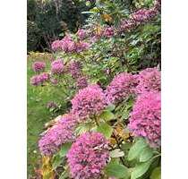 Grundstück zu verkaufen in Berlin 2.889.000,00 € 1038 m²