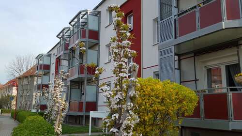 Foto - Wohnung zum Mieten in Gotha 466,00 € 66.55 m²