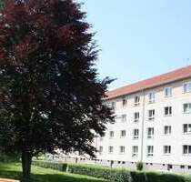 Wohnung zum Mieten in Pirna 390,72 € 59.2 m²