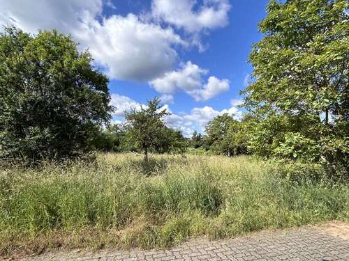 Foto - Grundstück zu verkaufen in Erlenbach am Main 320.000,00 € 883 m²