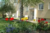 Wohnung zum Mieten in Pirna 354,14 € 57.12 m²
