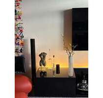 Wohnung zum Kaufen in Ludwigshafen 338.500,00 € 74.12 m²