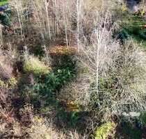 Grundstück zu verkaufen in Glauchau 29.500,00 € 1811 m²