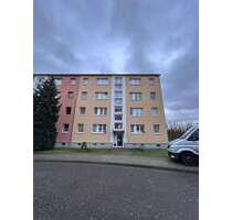 Wohnung zum Mieten in Muldenstein 425,00 € 61 m²