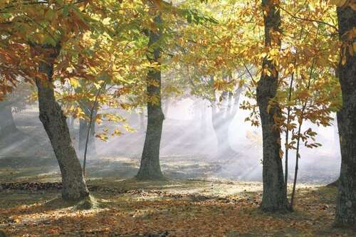 Foto - Wohnung zum Mieten in Wittenburg 265,00 € 45.58 m²