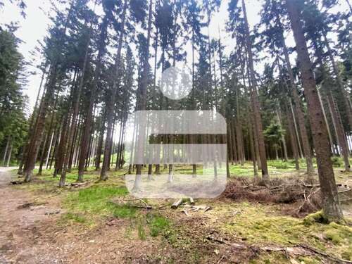 Foto - Grundstück in Schönsee 150.000,00 € 57444 m²