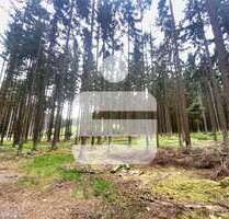 Grundstück in Schönsee 150.000,00 € 57444 m²