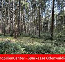 Grundstück in Oberzent 79.000,00 € 30096 m²
