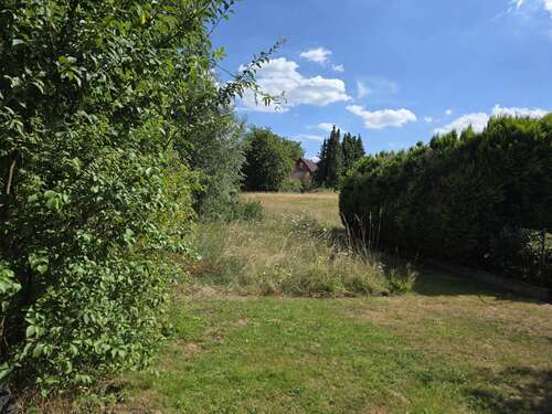 Foto - Grundstück zu verkaufen in Porta Westfalica 40.000,00 € 1237 m²