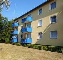 Wohnung zum Mieten in Braunschweig 502,00 € 63.54 m²