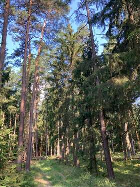 Foto - Grundstück in Reichertshausen 243.300,00 € 24330 m²