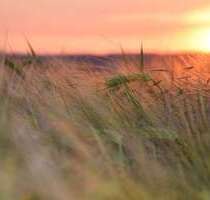 Wohnung zum Mieten in SchwedtOder OT Passow 365,00 € 57.8 m² - Schwedt/Oder OT Passow