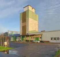 Halle in Reußenköge 380.000,00 € 1820 m²