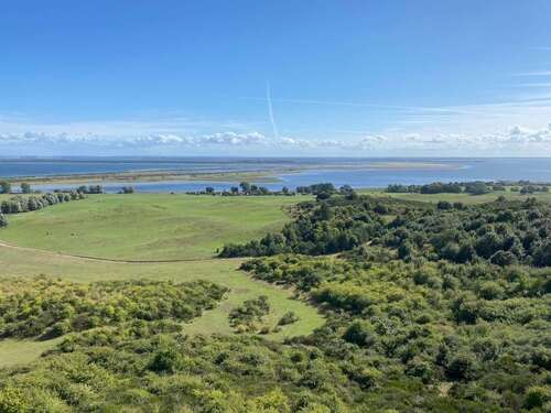 Foto - Grundstück zu verkaufen in Pantelitz 112.280,00 € 802 m²