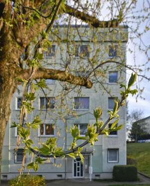 Foto - Wohnung zum Mieten in Gotha 330,00 € 50.7 m²