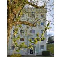 Wohnung zum Mieten in Gotha 330,00 € 50.7 m²