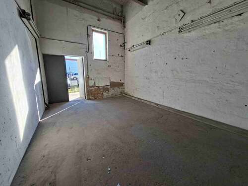 Foto - Halle in Grimma 101,26 € 28.93 m²