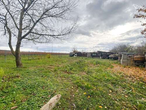 Foto - Grundstück zu verkaufen in Gensingen 279.000,00 € 1377 m²