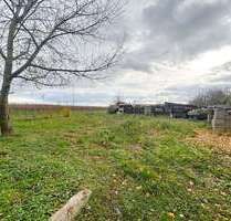 Grundstück zu verkaufen in Gensingen 279.000,00 € 1377 m²