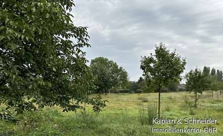 Foto - Grundstück zu verkaufen in Niddatal Kaichen 75.000,00 € 548 m²