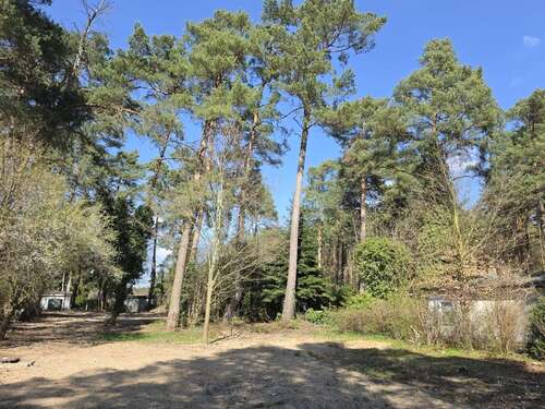 Foto - Grundstück zu verkaufen in Zühlsdorf 280.000,00 € 1370 m²