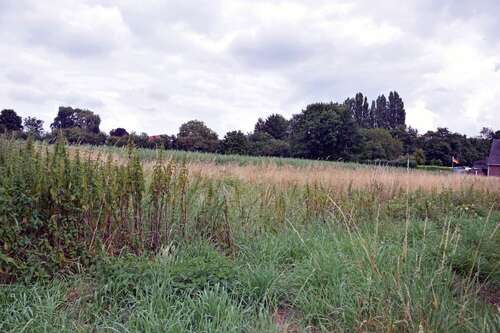 Foto - Grundstück zu verkaufen in Nettetal-Kaldenkirchen 109.260,00 € 2428 m²